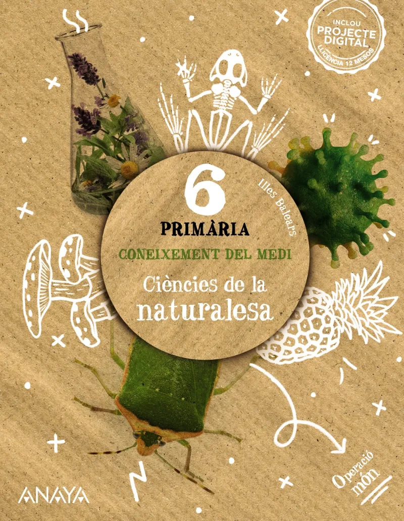 CONEIXEMENT DEL MEDI. CIÈNCIES DE LA NATURALESA 6.