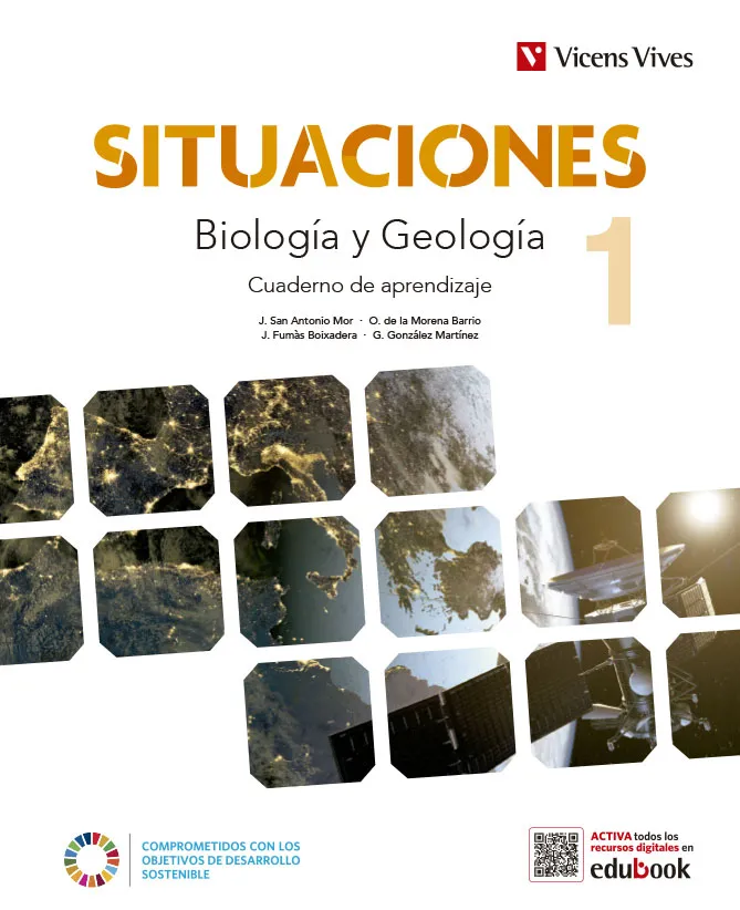 BIOLOGIA GEOLOGIA 1ESO CUADE SITUACIONES