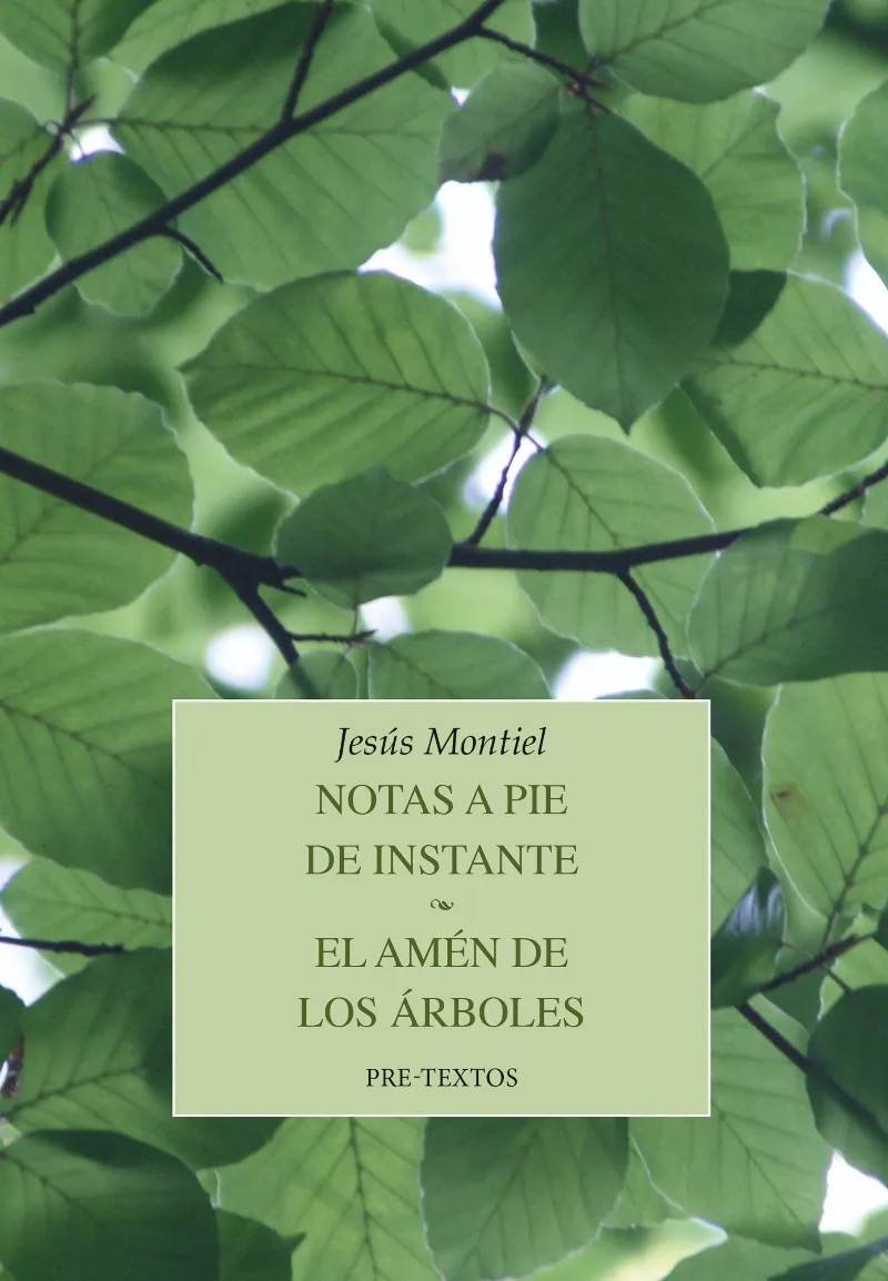 NOTAS A PIE DE INSTANTE / EL AMEN DE LOS ARBOLES