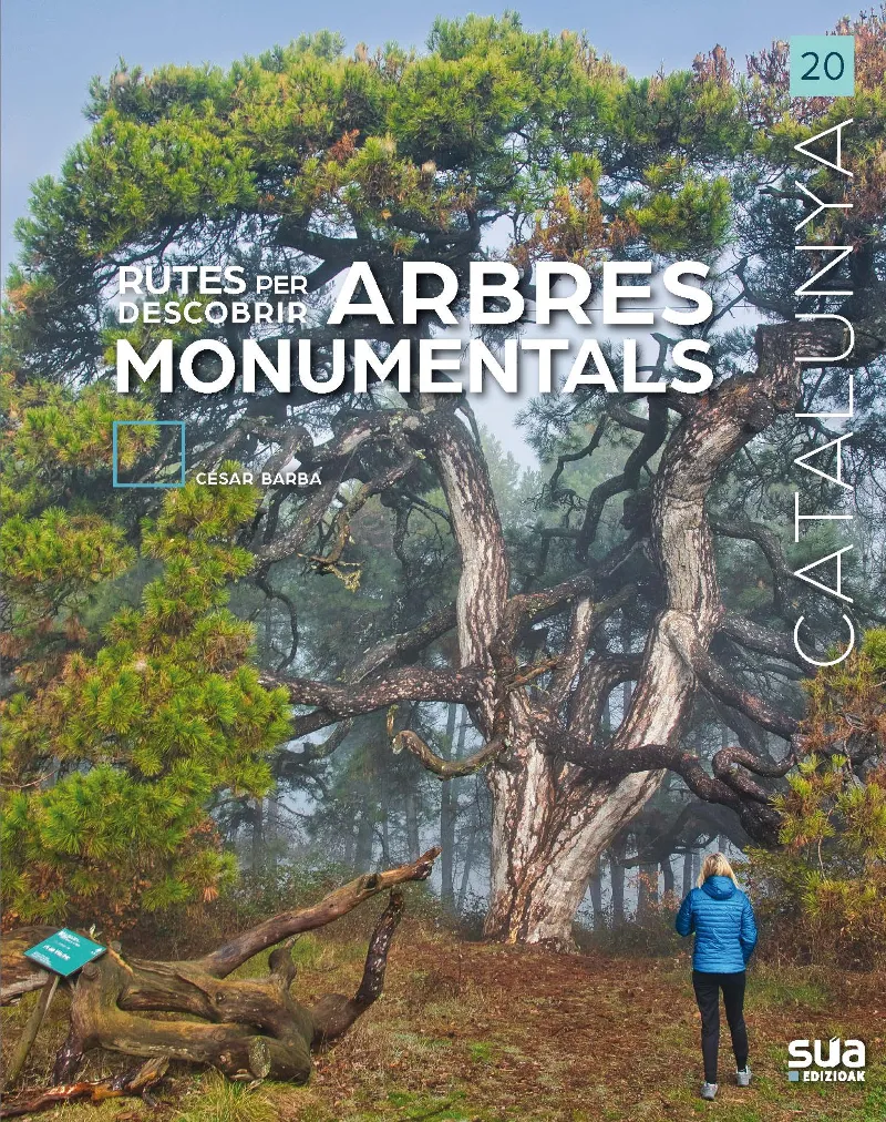 RUTES PER DESCPBRIR ARBRES MONUMENTALS