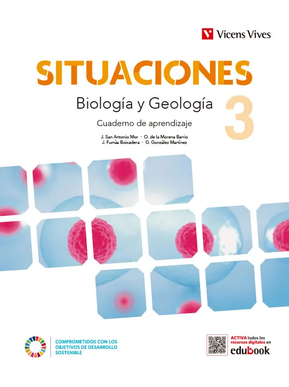 BIOLOGIA GEOLOGIA 3ESO CUADE SITUACIONES