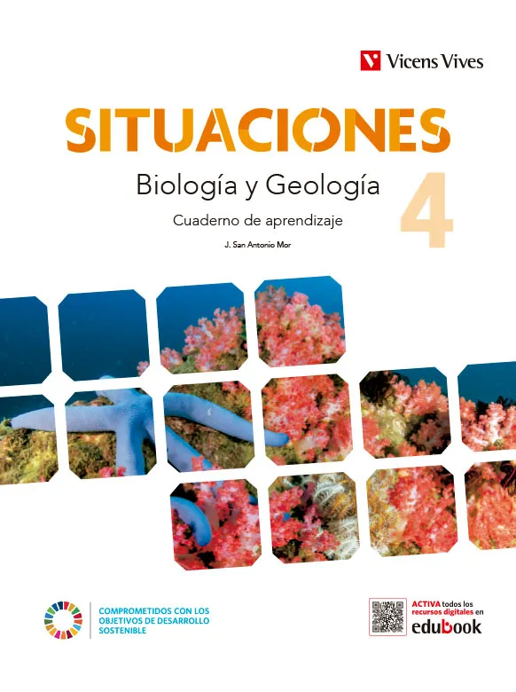 BIOLOGIA GEOLOGIA 4ESO CUADE SITUACIONES