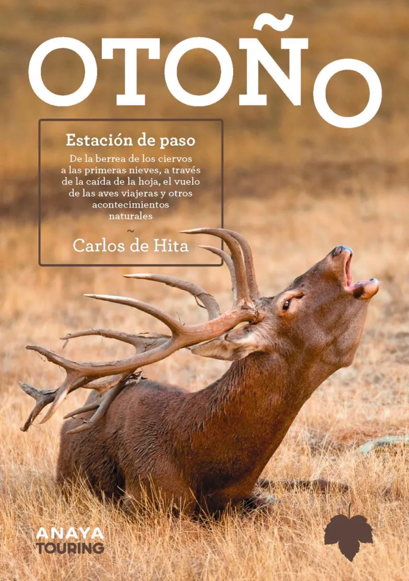 OTOÑO -ESTACION DE PASO-