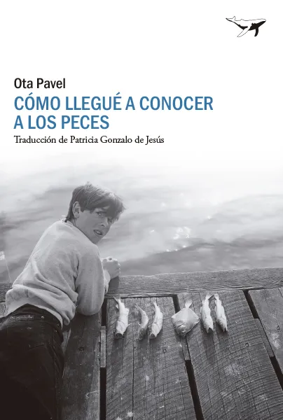 COMO LLEGUE A CONOCER A LOS PECES -ED.2023-