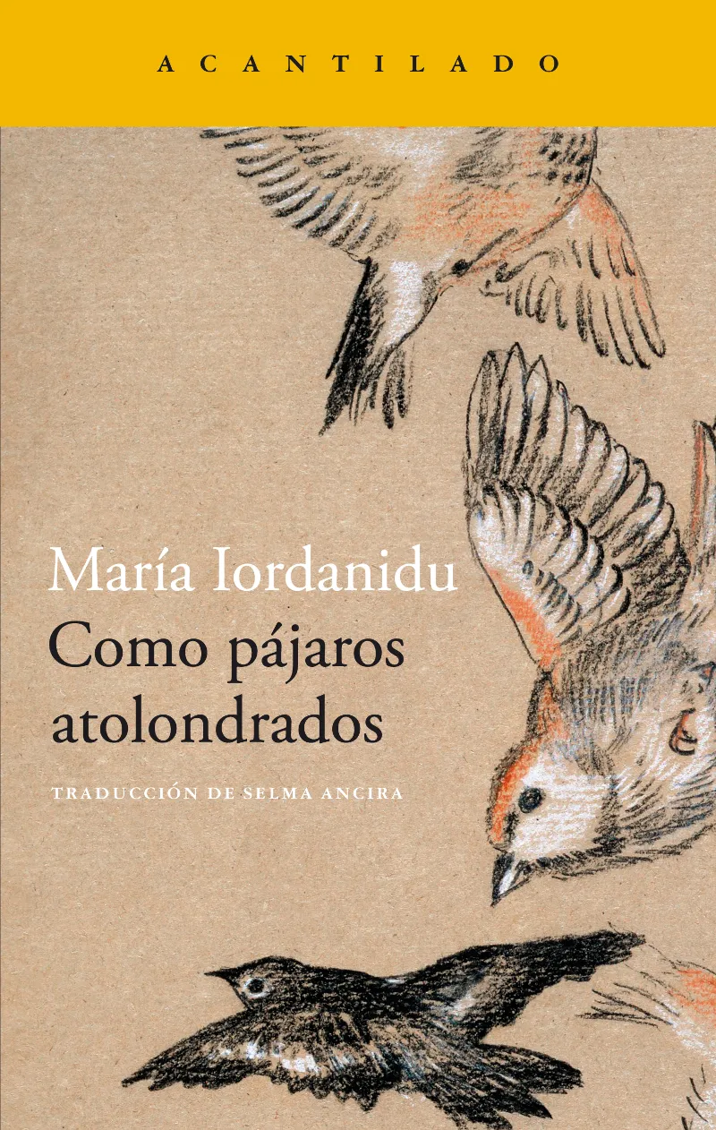 COMO PAJAROS ATOLONDRADOS