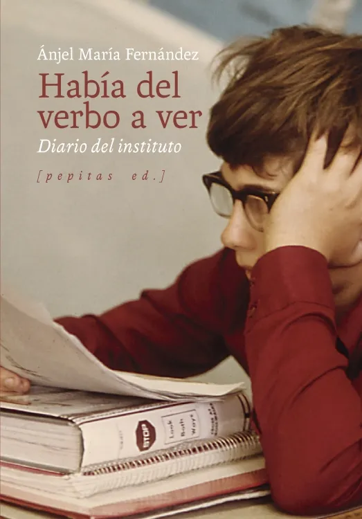 HABIA DEL VERBO VER DIARIO DEL INSTITUTO