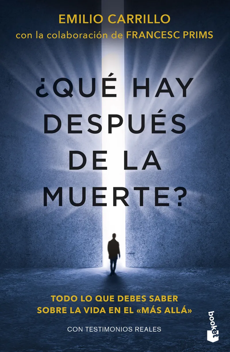 QUE HAY DESPUES DE LA MUERTE -BOLSILLO-