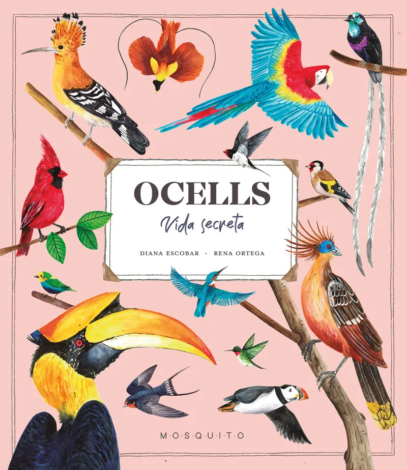 OCELLS VIDA SECRETA