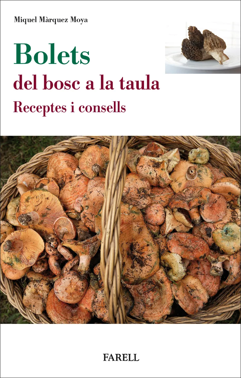 BOLETS.DEL BOSC A LA TAULA.RECEPTES I CONSELLS