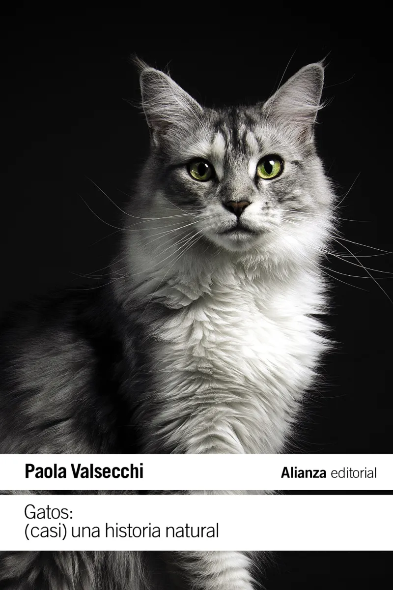 GATOS: (CASI) UNA HISTORIA NATURAL -BOLSILLO-