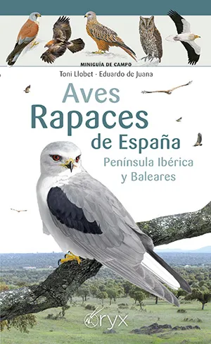AVES RAPACES DE ESPAÑA PENINSUA IBERICA Y BALEARES