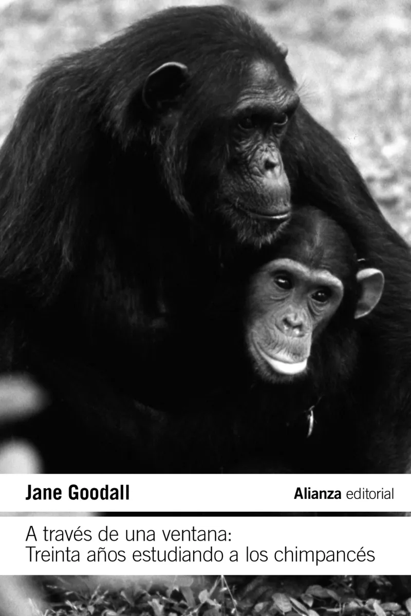 A TRAVÉS DE UNA VENTANA: TREINTA AÑOS ESTUDIANDO A LOS CHIMPANCÉS -BOLSILLO-