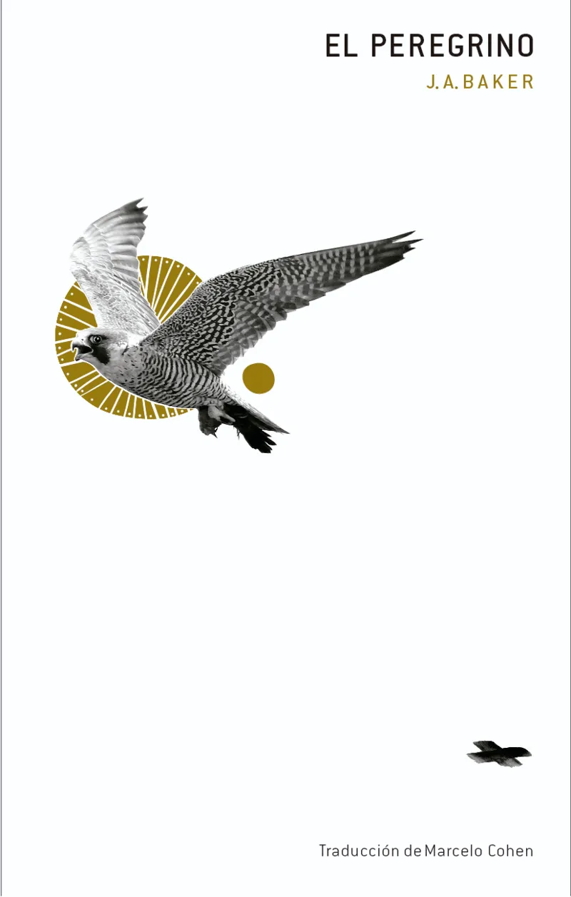 EL PEREGRINO(EDICIÓN 2024)