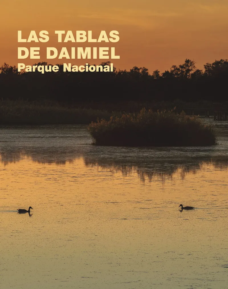 TABLAS DE DAIMIEL, LAS
