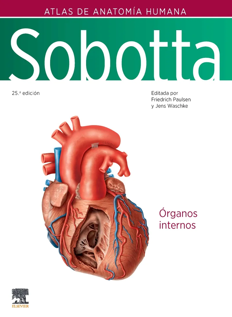 SOBOTTA. ATLAS DE ANATOMÍA HUMANA-2.ÓRGANOS INTERNOS