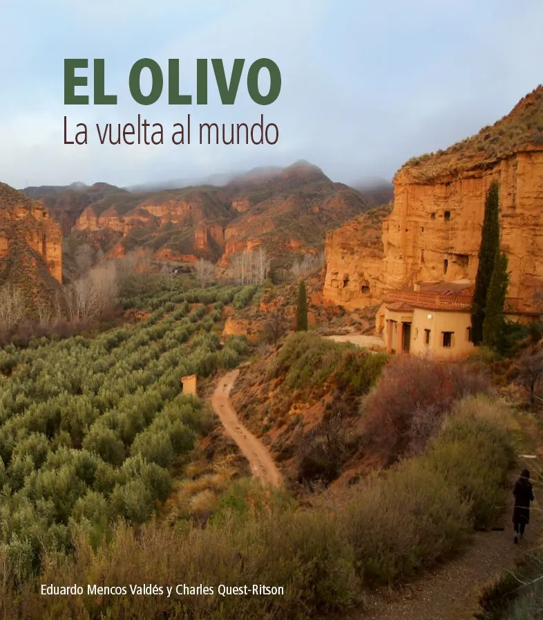 EL OLIVO.LA VUELTA AL MUNDO