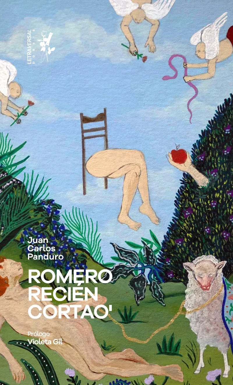 ROMERO RECIEN CORTAO