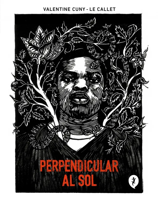 PERPENDICULAR AL SOL -ESP-