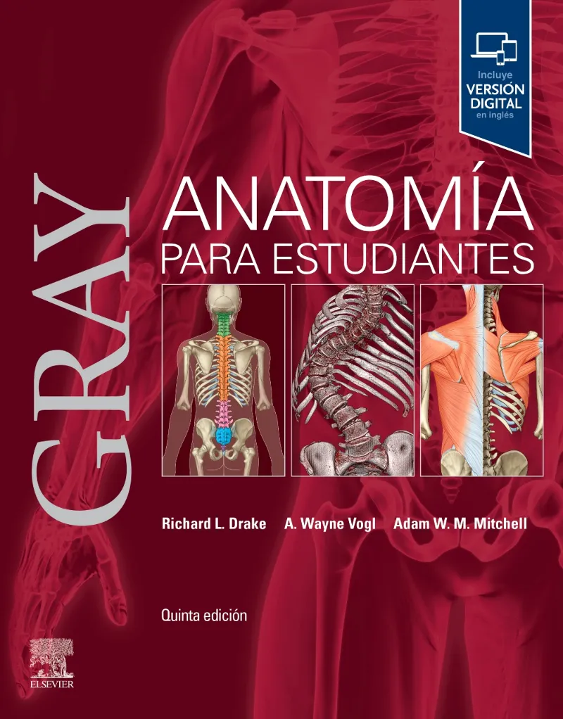GRAY. ANATOMÍA PARA ESTUDIANTES(5ª EDICIÓN)