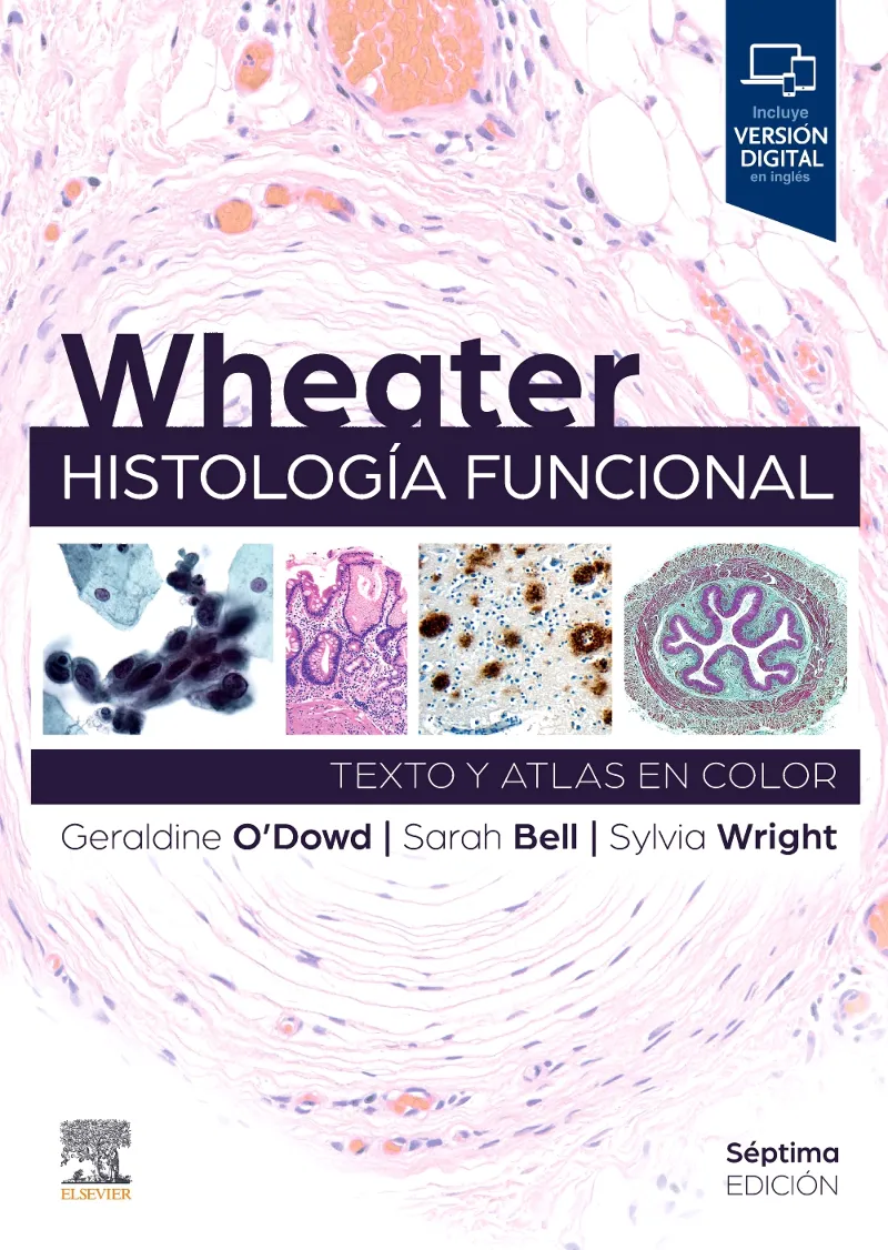 WHEATER. HISTOLOGÍA FUNCIONAL(7ª EDICIÓN 2024)