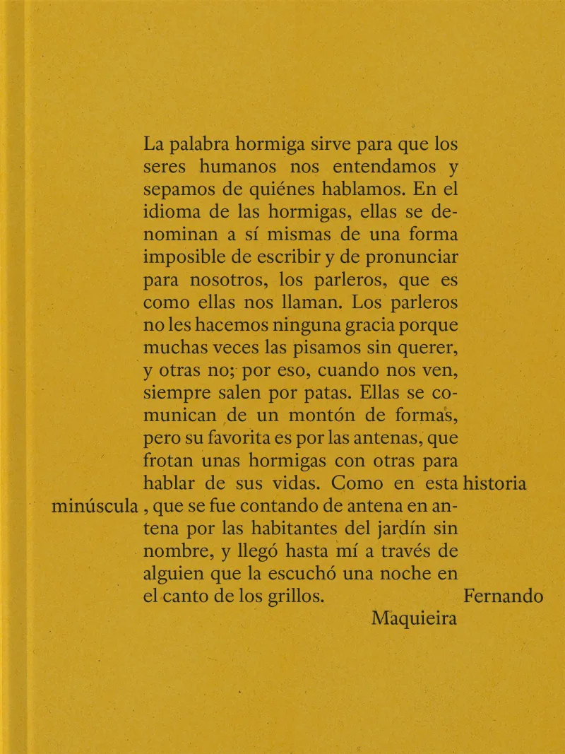 HISTORIA MINÚSCULA, UNA