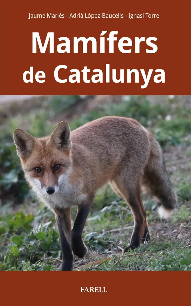 MAMIFERS DE CATALUNYA