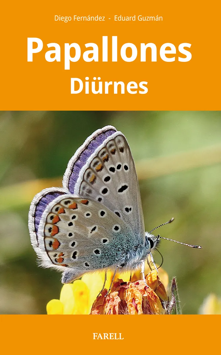 PAPALLONES DIURNES