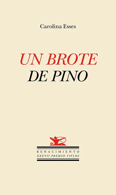UN BROTE DE PINO