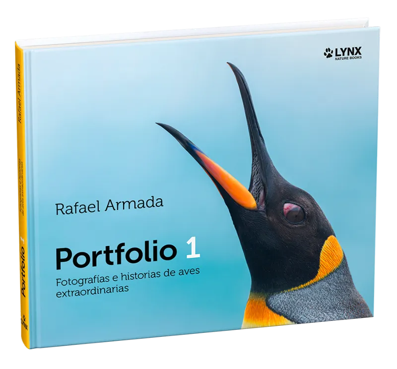 PORTFOLIO 1 -FOTOGRAFIA E HISTORIAS DE AVES EXTRAORDINARIAS -