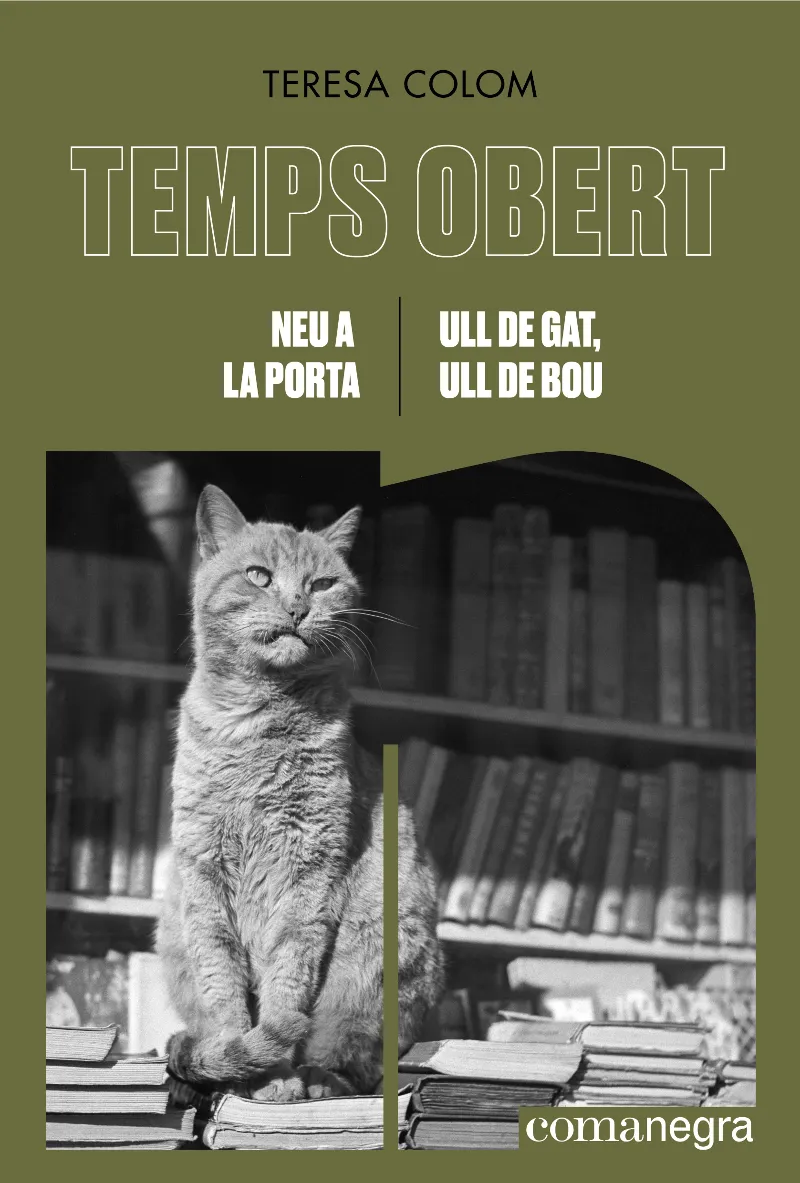 NEU A LA PORTA / ULL DE GAT ULL DE BOU -TEMPS OBERT-