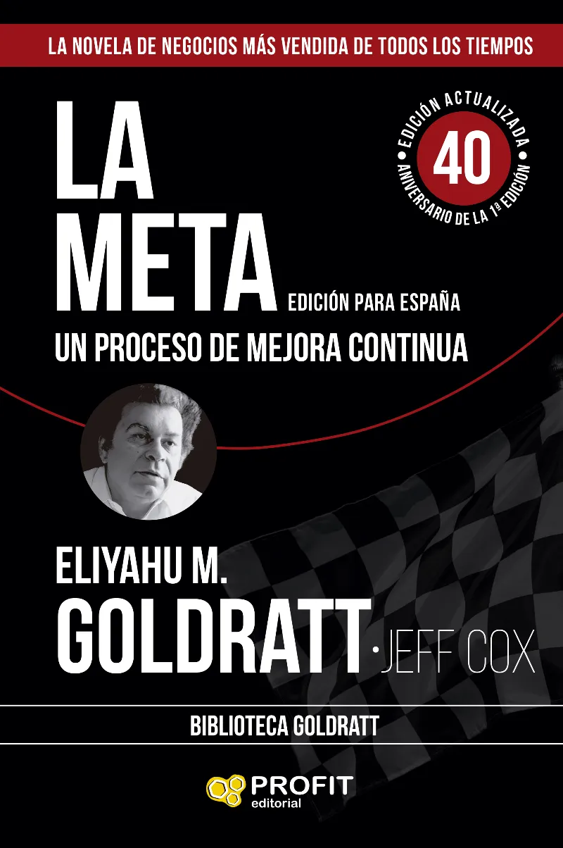 LA META.UN PROCESO DE MEJORA CONTINUA