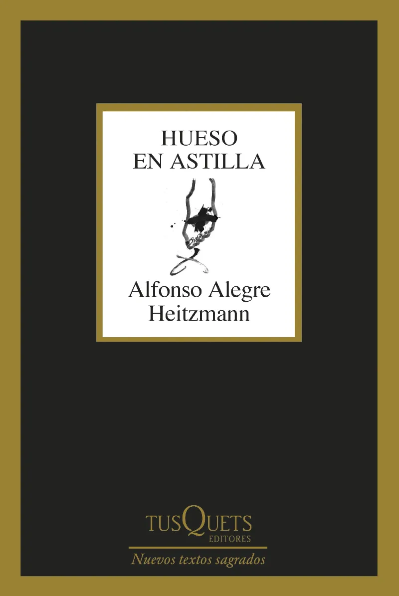 HUESO EN ASTILLA