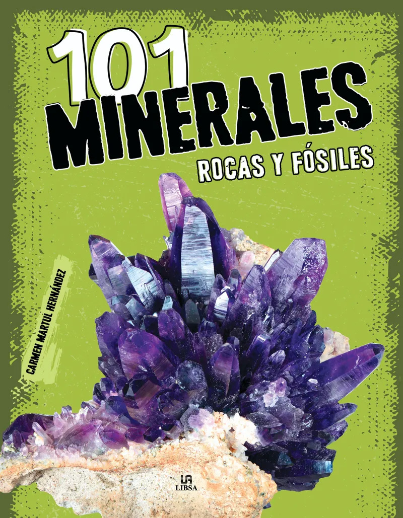 101 MINERALES ROCAS Y FÓSILES