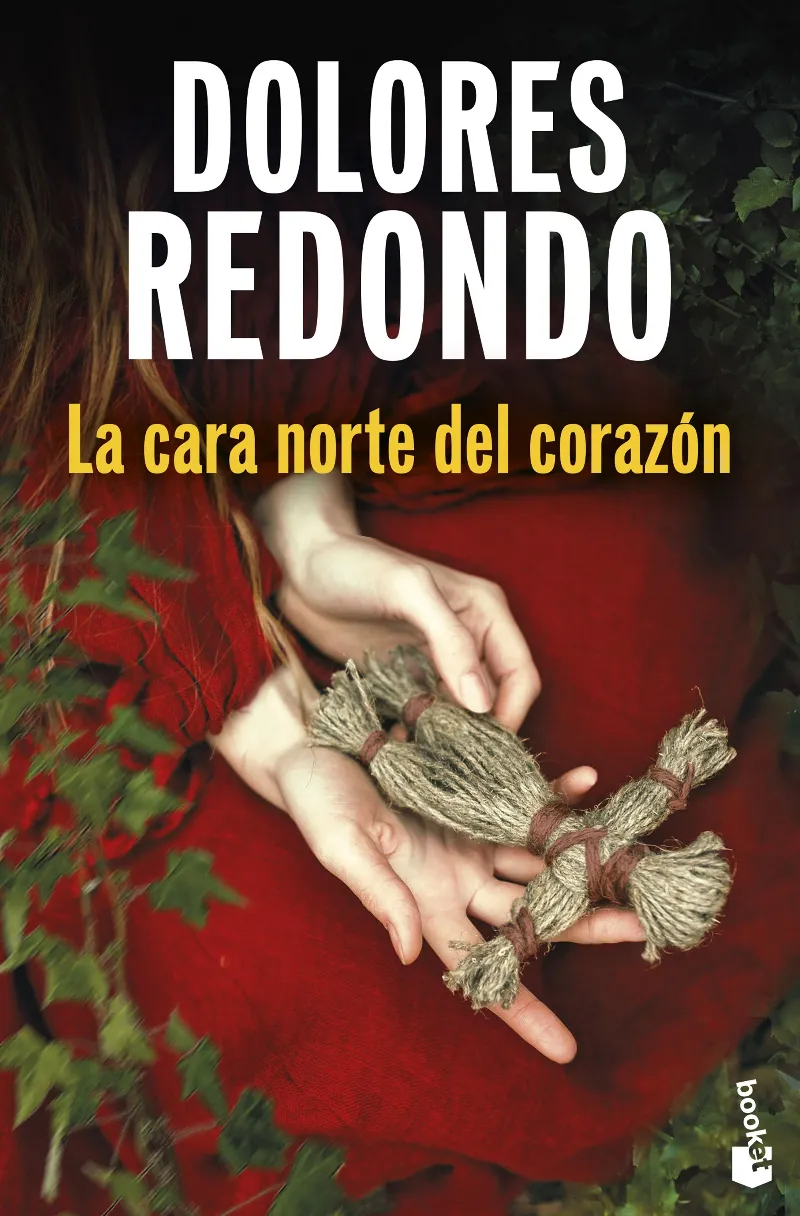 LA CARA NORTE DEL CORAZÓN (BOLSILLO)