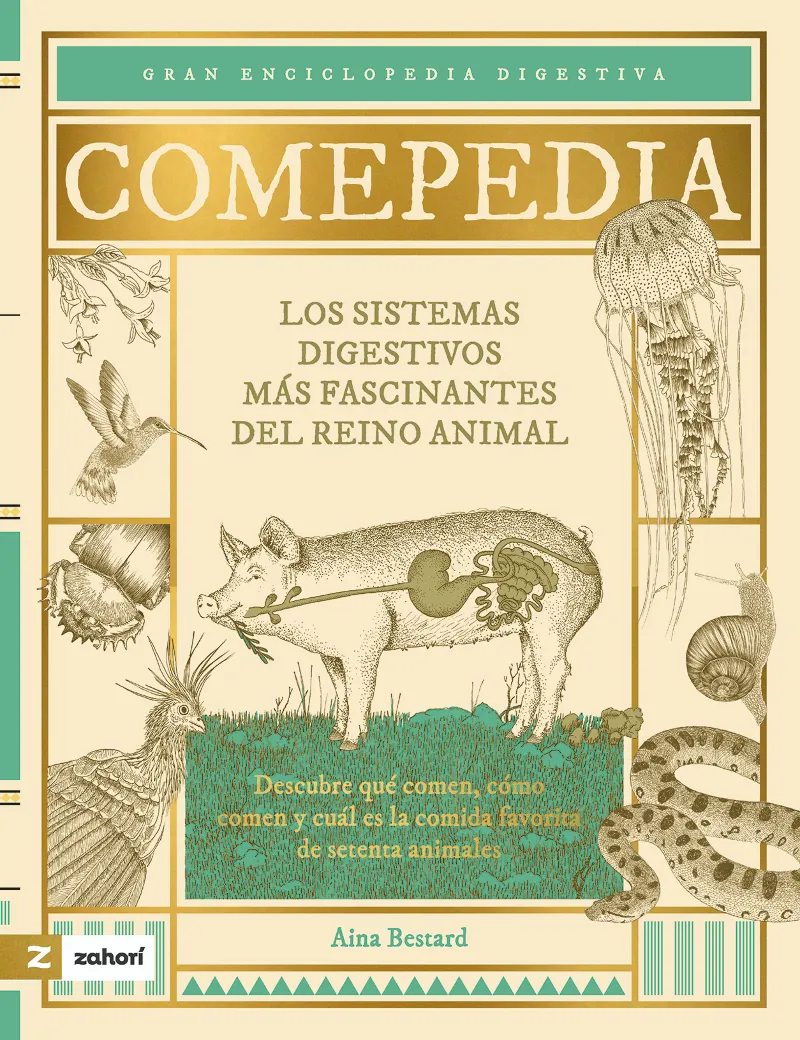 COMEPEDIA: LOS SISTEMAS DIGESTIVOS MÁS FASCINANTES DEL REINO ANIMAL