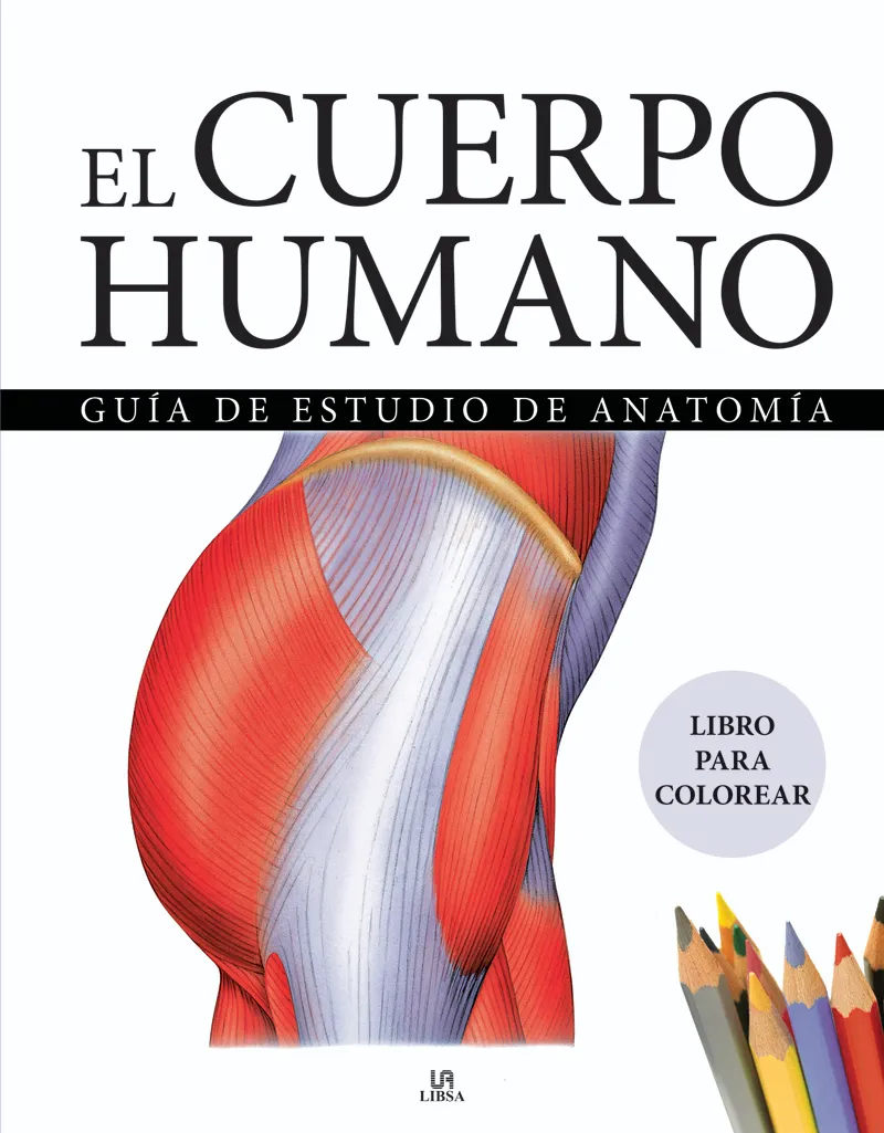 EL CUERPO HUMANO