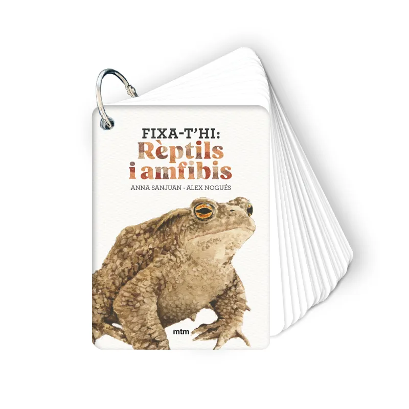 FIXA-T'HI: RÈPTILS I AMFIBIS