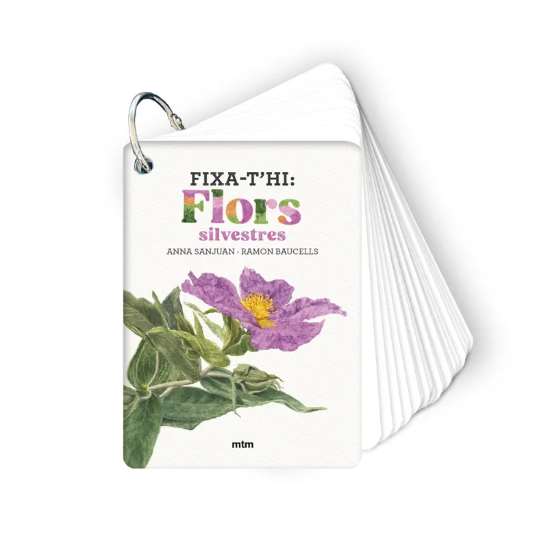 FIXA-T'HI: FLORS SILVESTRES