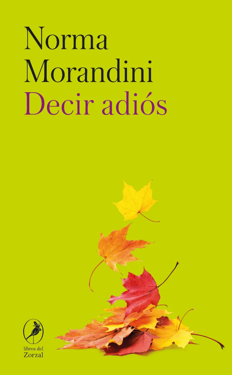 DECIR ADIÓS