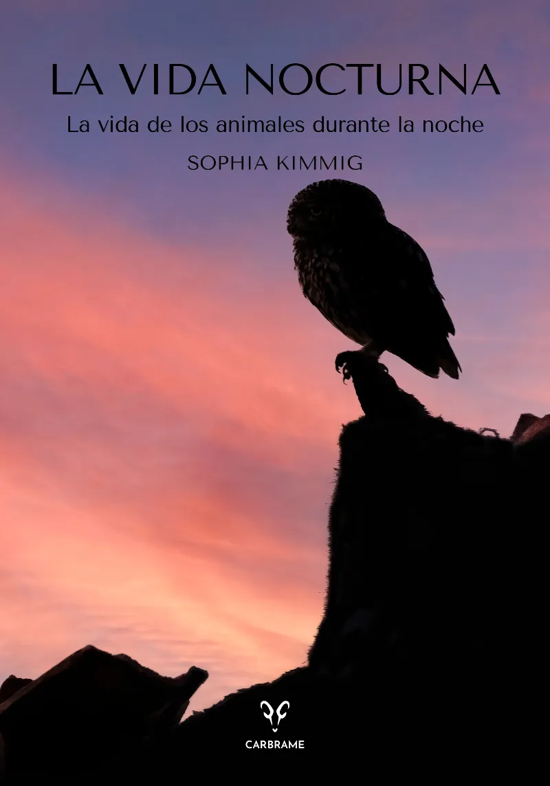 LA VIDA NOCTURNA