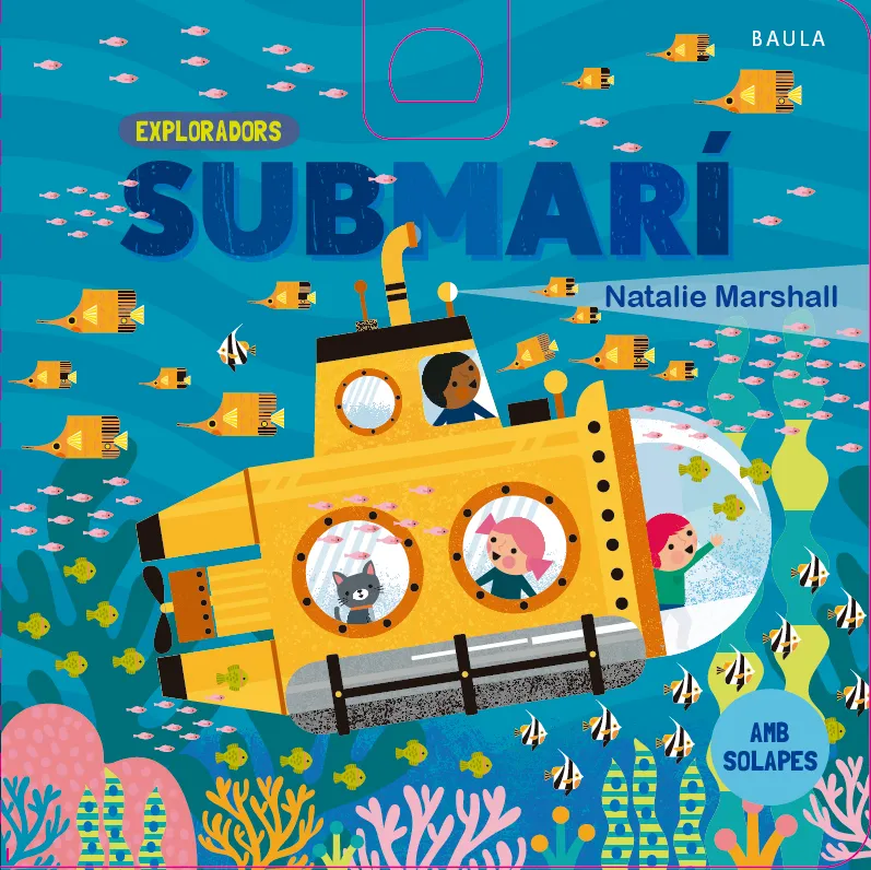 SUBMARÍ + 12 MESES