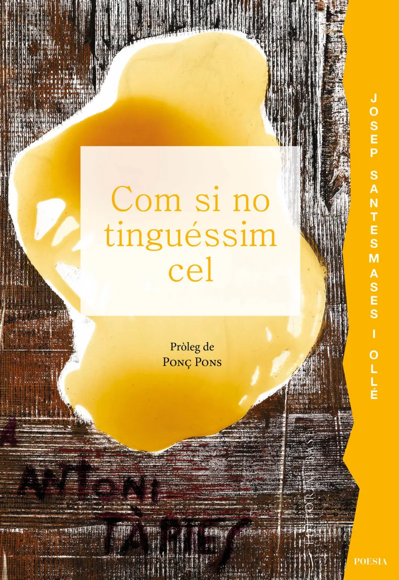 COM SI NO TINGUÉSSIM CEL