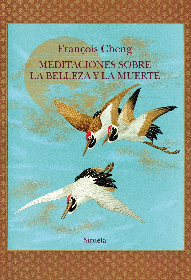 MEDITACIONES SOBRE LA BELLEZA Y LA MUERTE