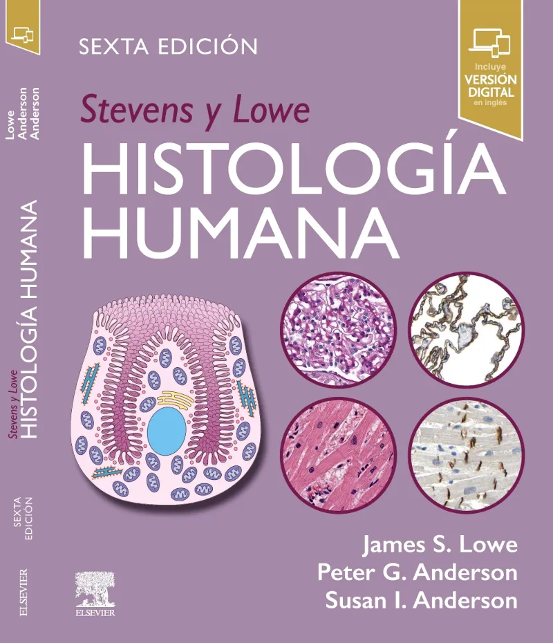 STEVENS Y LOWE. HISTOLOGÍA HUMANA(6ª EDICIÓN 2025)