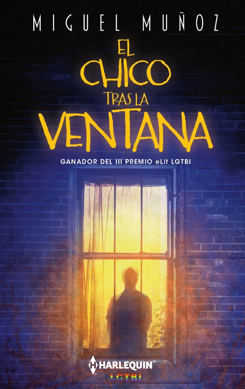 EL CHICO TRAS LA VENTANA -BUTXACA-