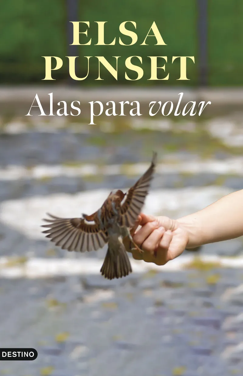 ALAS PARA VOLAR