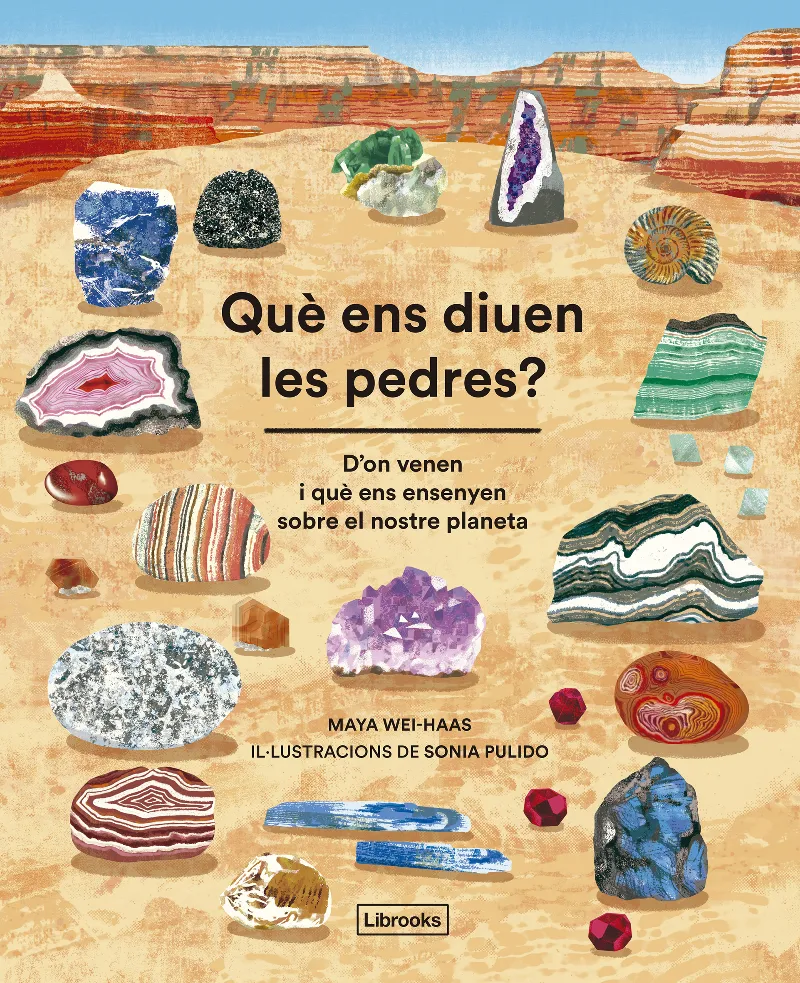 QUÈ ENS DIUEN LES PEDRES?