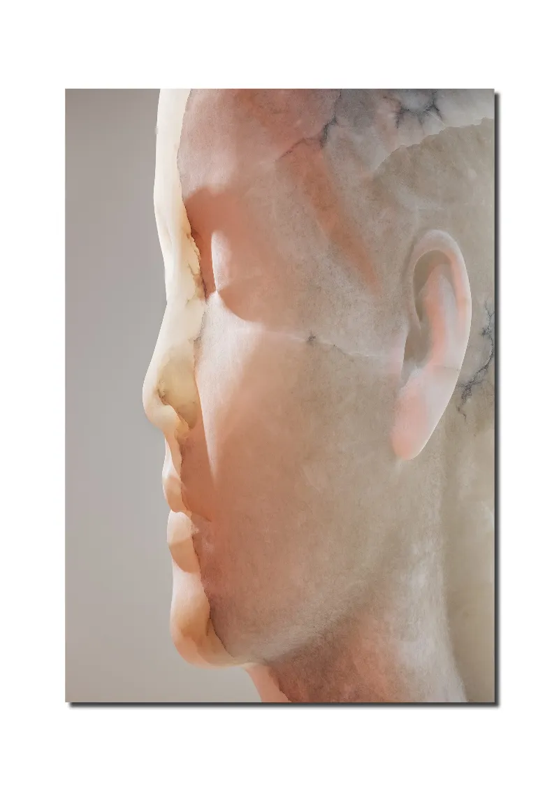 JAUME PLENSA: INNER MATTER / MATERIA INTERIOR