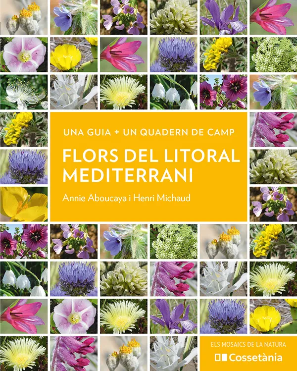 FLORS DEL LITORAL MEDITERRANI
