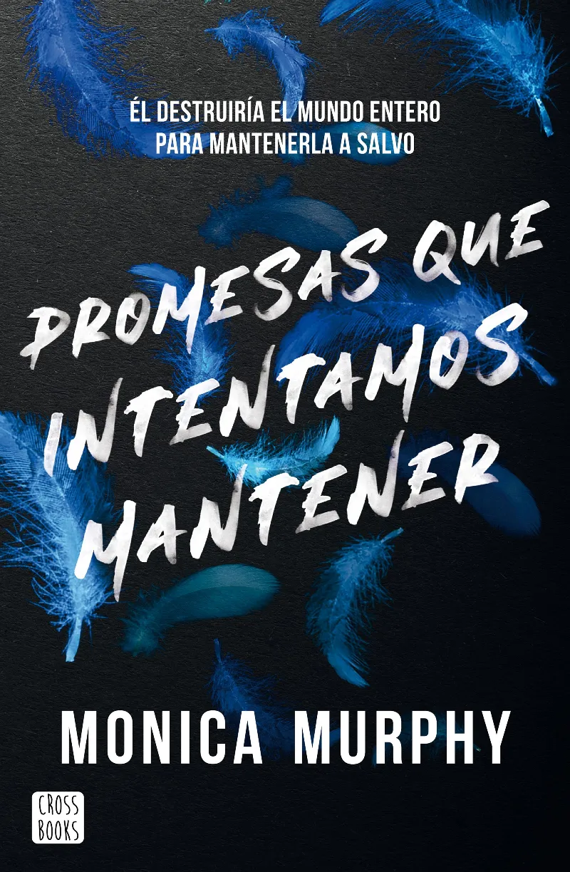 PROMESAS QUE INTENTAMOS MANTENER